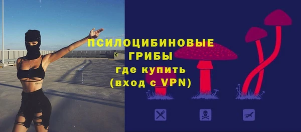 СК Лиски