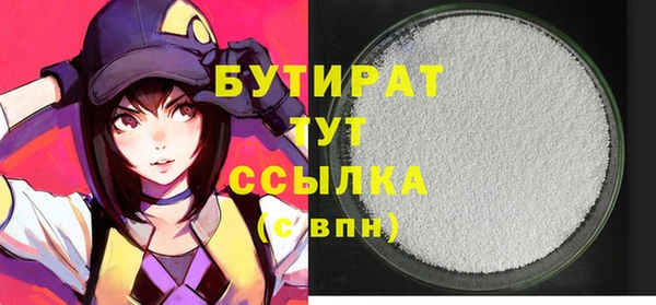 индика Лабытнанги