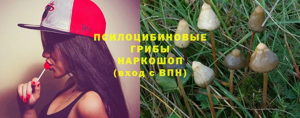 индика Лабытнанги