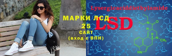 индика Лабытнанги
