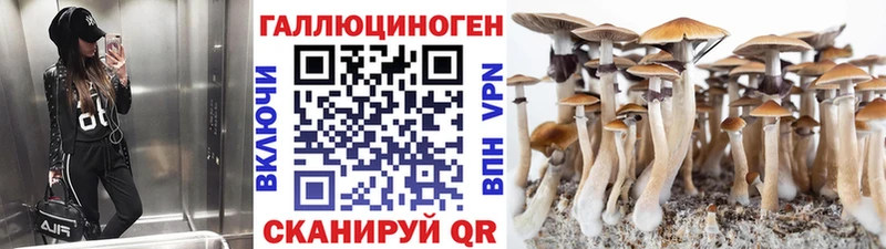 Псилоцибиновые грибы Psilocybine cubensis  Лабытнанги 