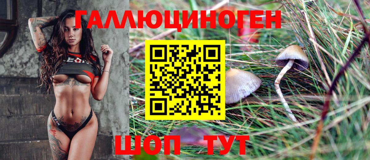 Лабытнанги  Псилоцибиновые грибы Psilocybine cubensis  Вход с VPN 