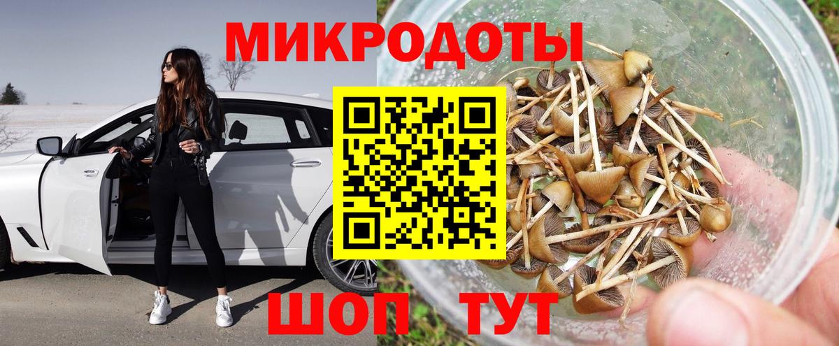 Псилоцибиновые грибы Psilocybine cubensis Лабытнанги